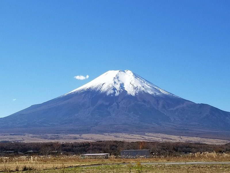 「富士山」の画像検索結果