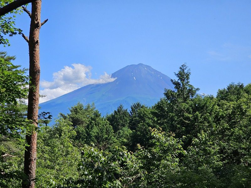 羽根子山から富士山