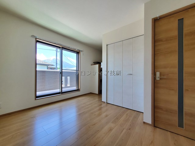 Dolphin　Blue_画像2