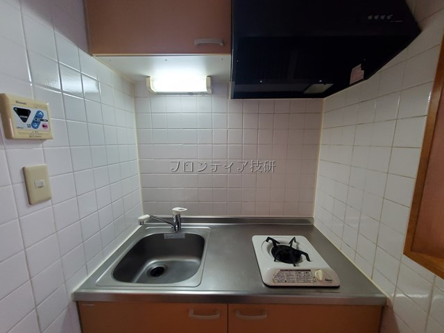 プリマヴェーラB_画像3