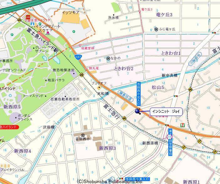 インフィニット　ジョイ_画像5