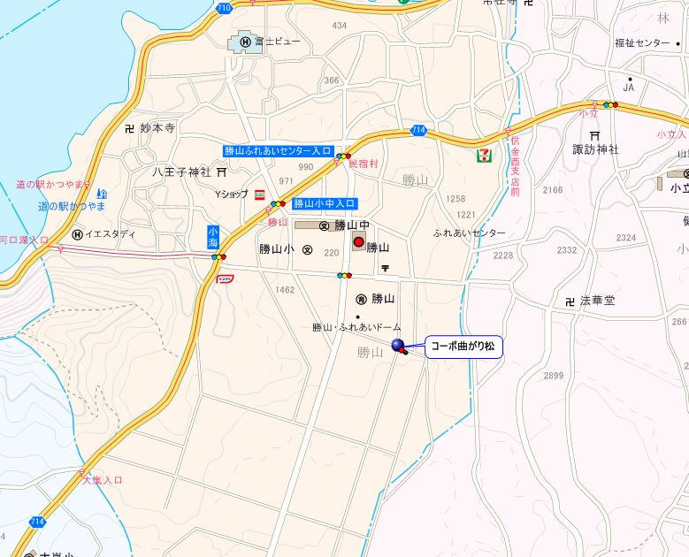 コーポ曲がり松_画像5