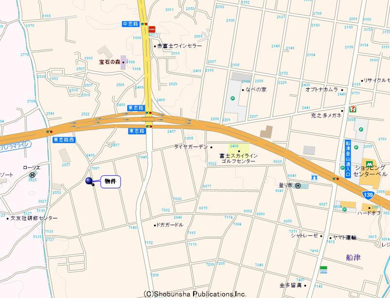 Dolphin　Blue_画像5