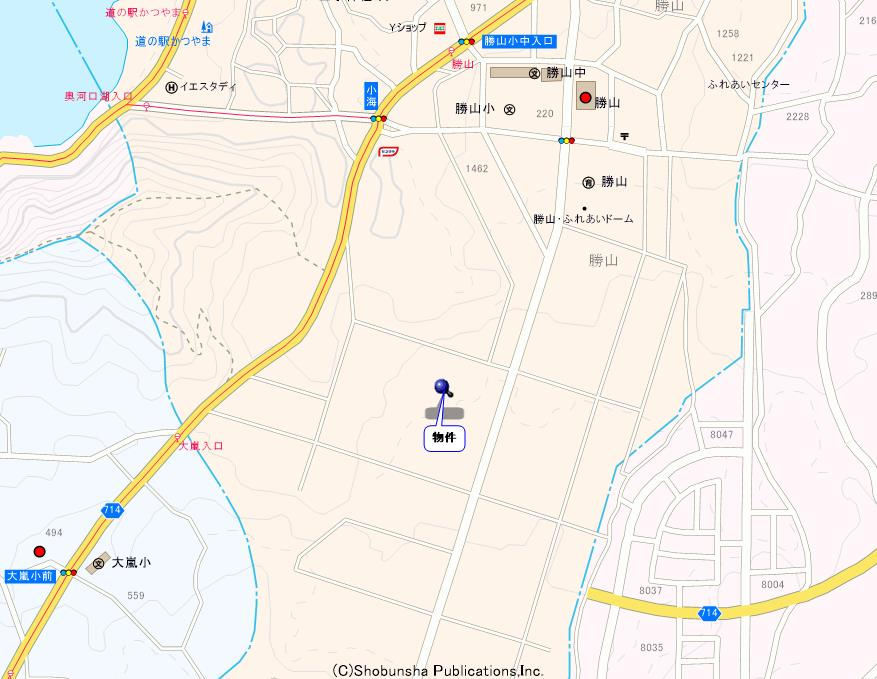 サンフラワー　Ⅲ_画像5