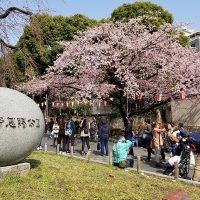 上野公園