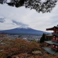 新倉山浅間公園桜まつり