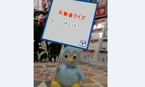 1坪は？