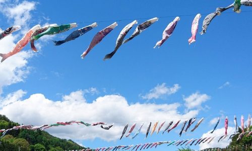 長沢鯉のぼり祭り