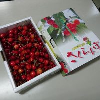 山形のさくらんぼ