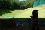 【プレステージゴルフガーデン】富士吉田市の打ちっぱなしゴルフ練習場