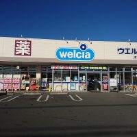 ウエルシア河口湖船津店