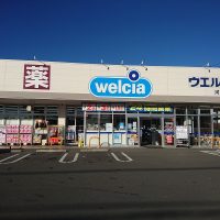 ウエルシア河口湖船津店