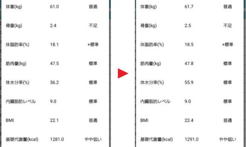 増量
