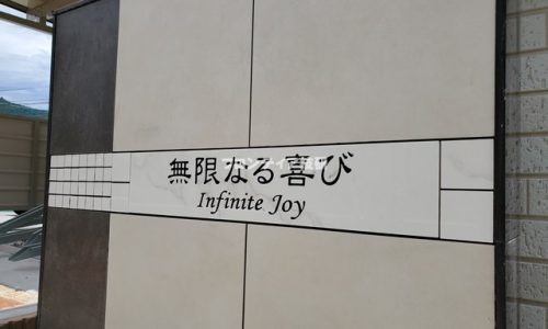 インフィニット　ジョイ