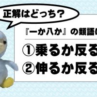 乗るか反るか？伸るか反るか？意味と誤用。