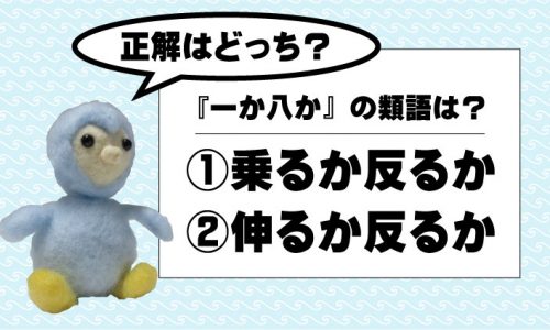 乗るか反るか？伸るか反るか？意味と誤用。