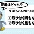 取り付く暇もない？取り付く島もない？意味と誤用。