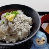 田子の浦港のしらす丼