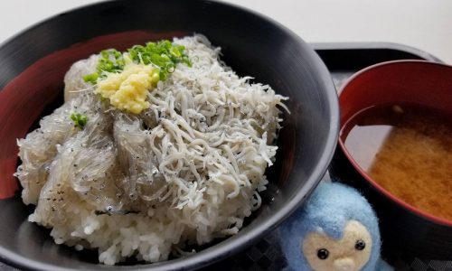 田子の浦港のしらす丼