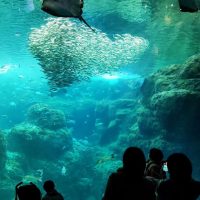 新江ノ島水族館