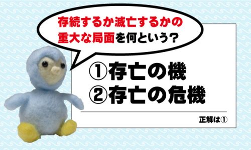 『存続するか滅亡するかの重大な局面』を何というでしょう？