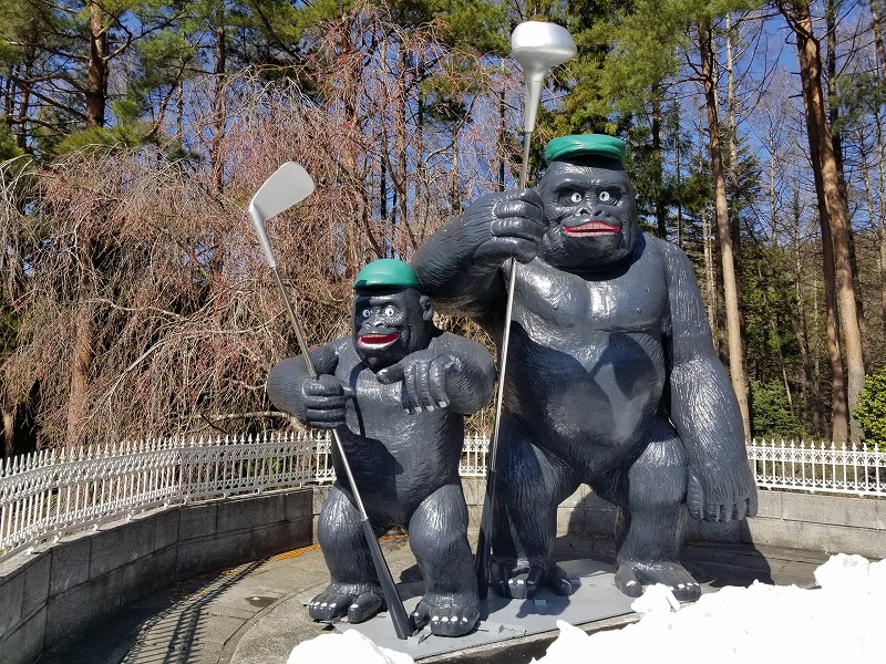 ゴリラは何科？正式名称（学名）は？ | Blog｜フロンティア技研