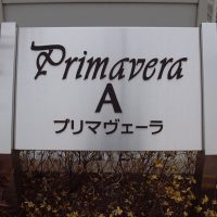プリマヴェーラ（Primavera）