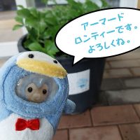 アーマードロンティー