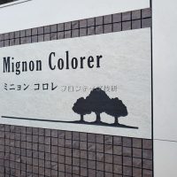 ミニョン　コロレ（ mignon colorer ）