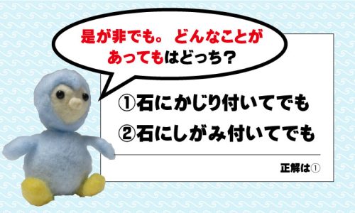 石にかじり付いてでも？石にしがみ付いてでも？どっち？