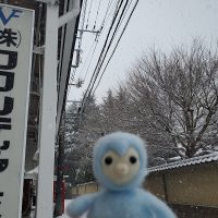 2023年2月10日、雪