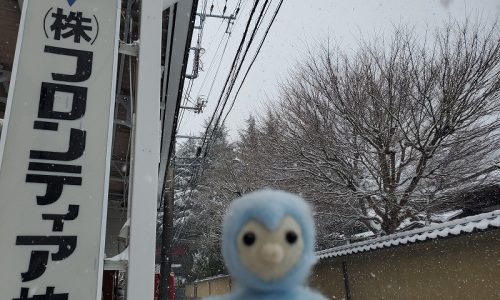 2023年2月10日、雪