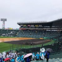 第95回記念選抜高等学校野球大会