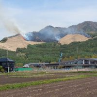 杓子山の野焼き