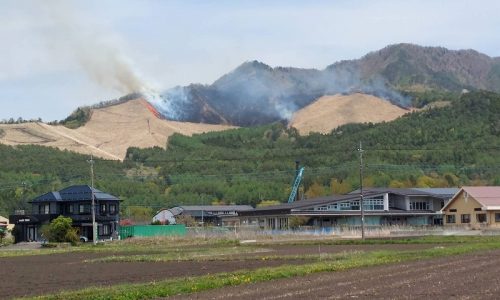 杓子山の野焼き