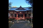 向原小明見冨士浅間神社。