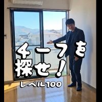 チーフを探せ レベル100