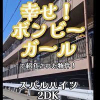 幸せ！ボンビーガール