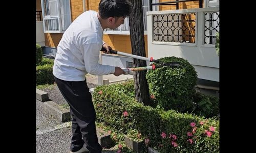 剪定バサミ