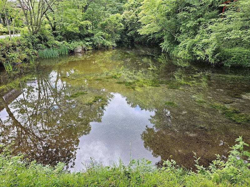 忍野八海】出口池（一番霊場）。 | Blog｜フロンティア技研