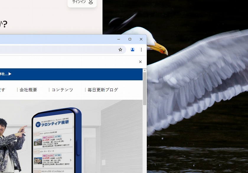 ダメだこりゃー
