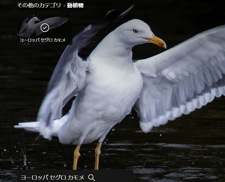 デスクトップピクチャ