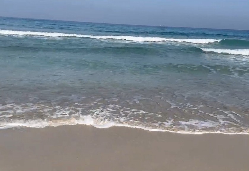 海