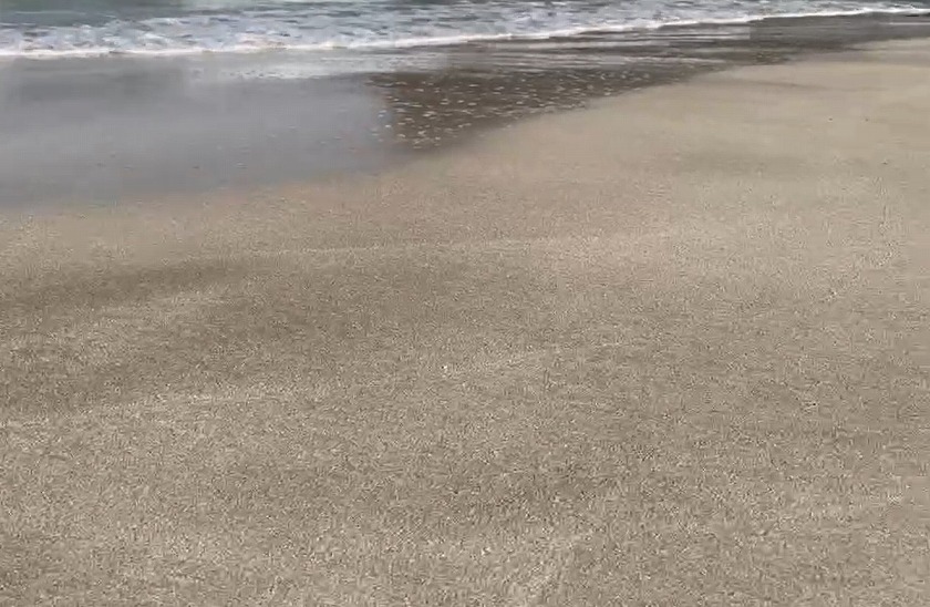 砂浜