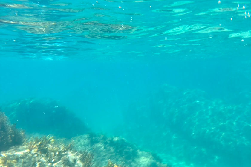 エメラルドグリーン