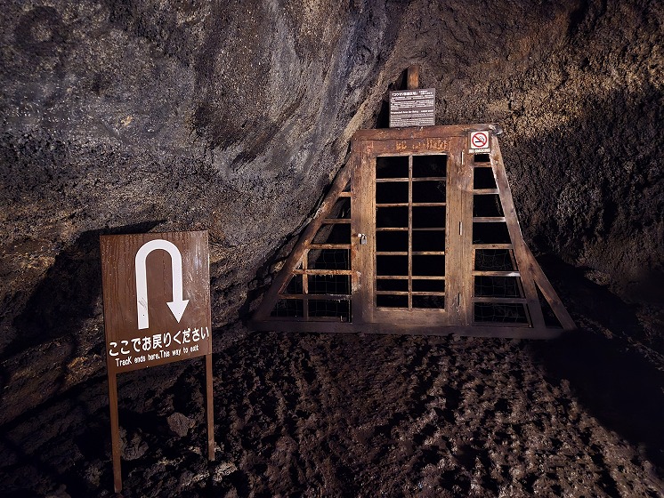 コウモリ保護区域