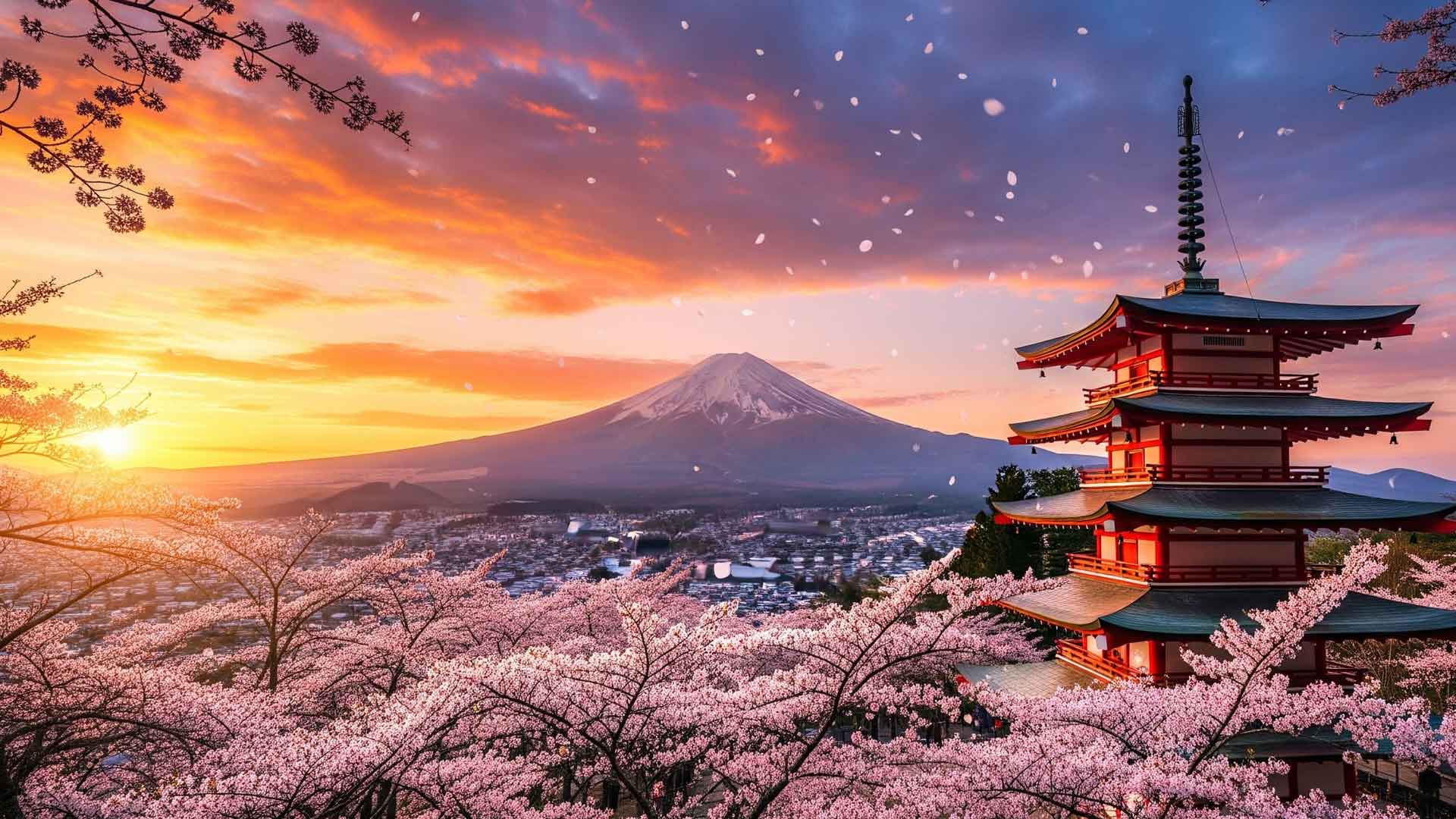 トップメニュー