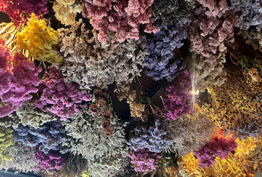 天井から美しく吊された大量のドライフラワー