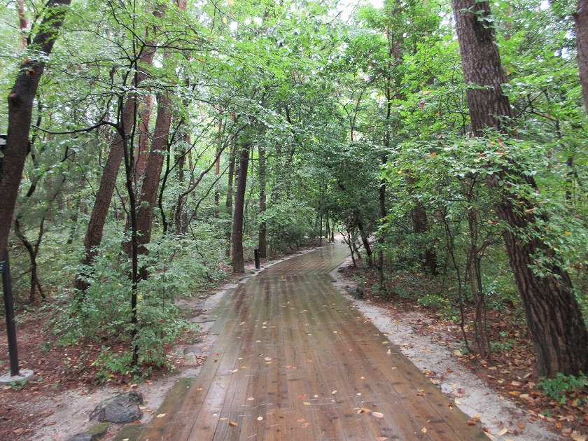 白州の豊かな自然