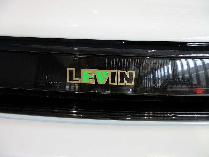 LEVIN